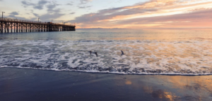 Orange County Recovery Experience