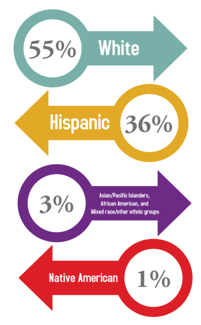Addiction Treatment Statistics Orange County