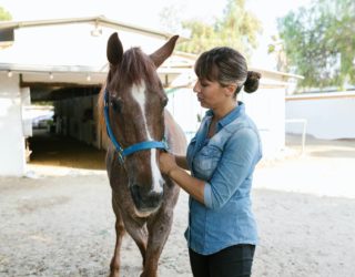 equine-therapy2